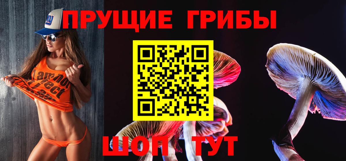 Псилоцибиновые грибы мицелий  наркотики  Псилоцибиновые грибы Cubensis  Пыть-Ях  Вход с VPN 